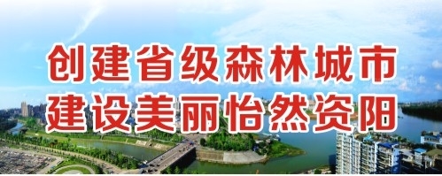 插J搞J创建省级森林城市 建设美丽怡然资阳